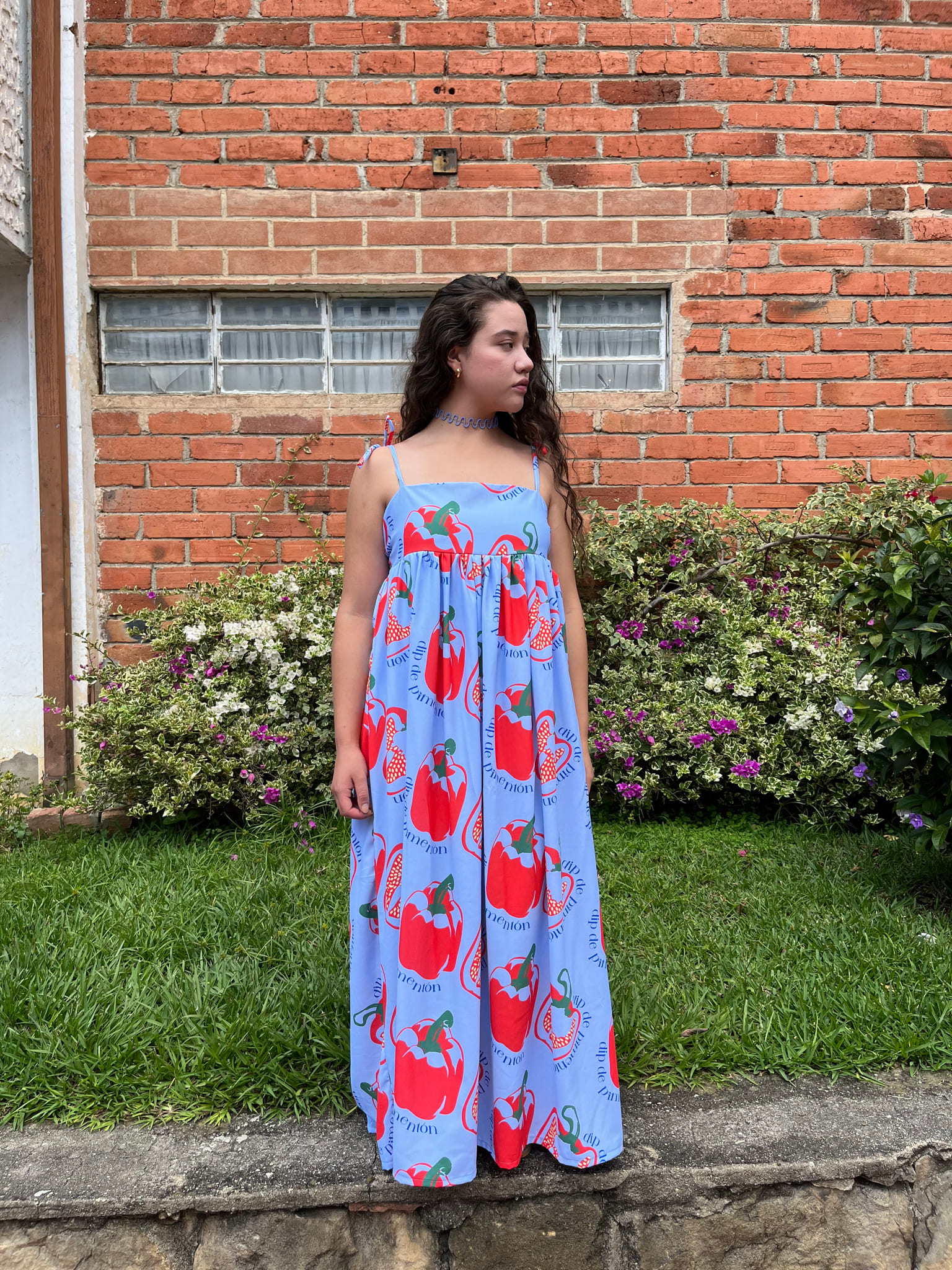 Vestido pimentones celeste