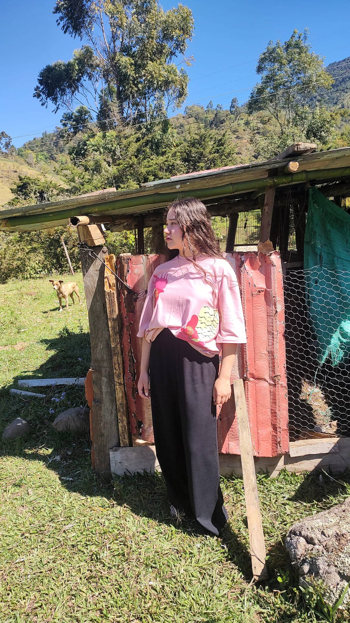Camiseta con print de gallitos, fotografiada en el campo santandereano